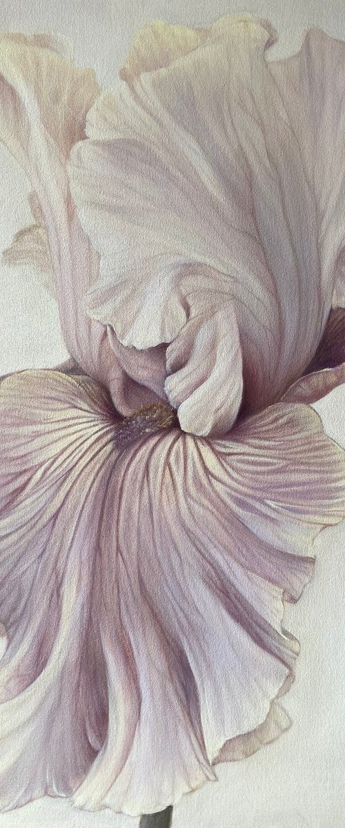 Oil painting on canvas 80/80 “Silk and wind” by Alexandra Ozerova