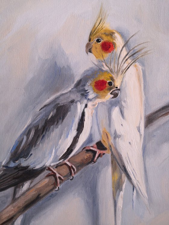 Sweet couple of corella cockatiel parrots Painting