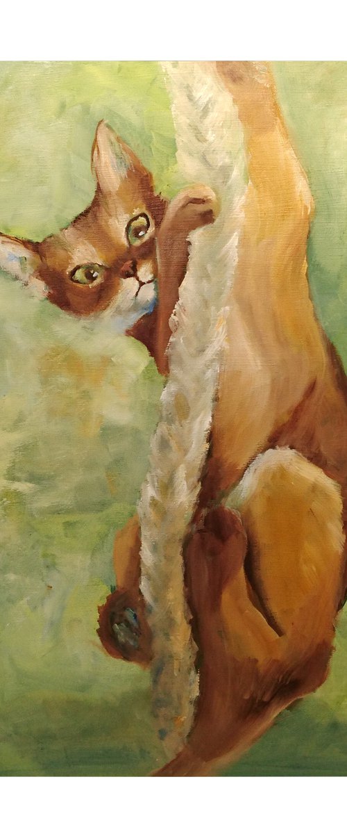 Cat hanging on rope by Susana Zarate Harris