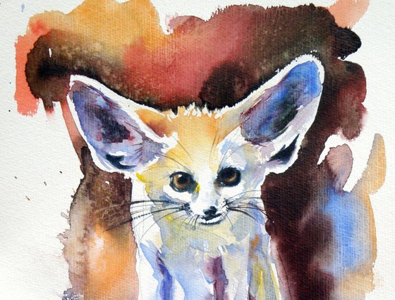 Desert fox watching