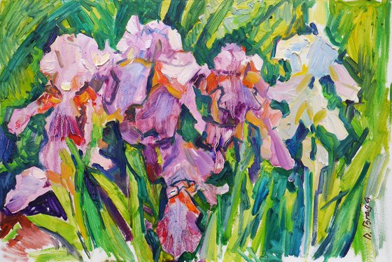 Violet Irises (plein air)