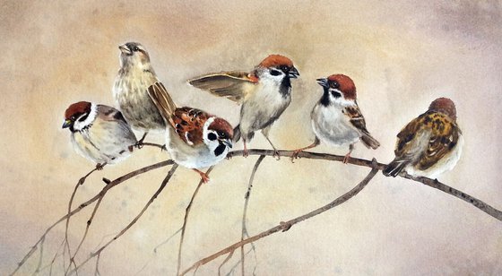 Battle the Sparrows - sparrow  bird  watercolor sparrows