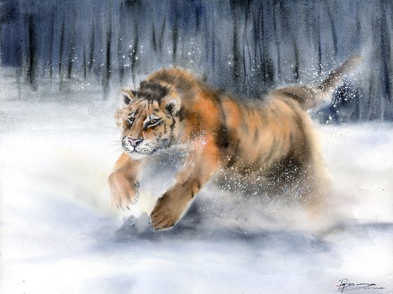 Tiger in Snow