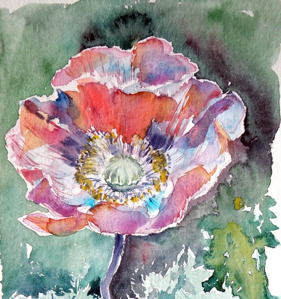 Poppy