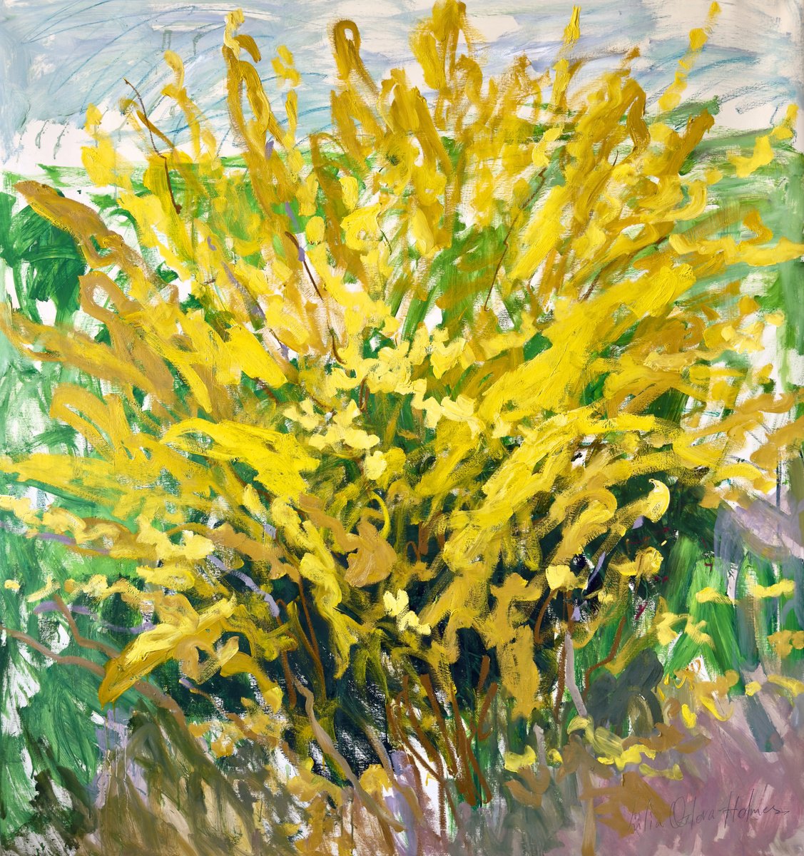 Expressive Oil Painting , Forsythia In My Garden. By Lilia Orlova-Holmes, 55 X 59, Artwork For Sale On Artfinder