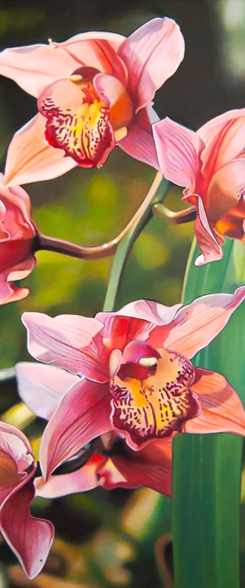 Orchids by Valeri Tsvetkov