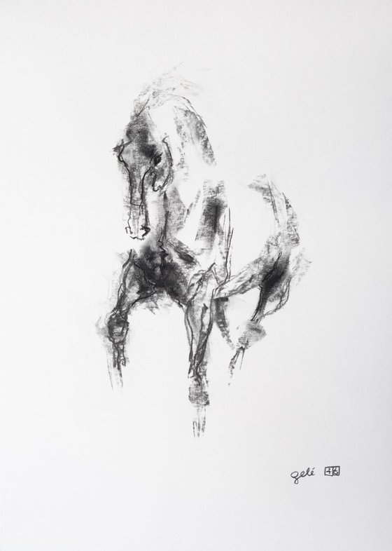 Equine Nude 6p