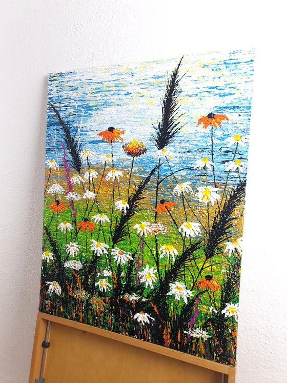 Daisy magic meadow