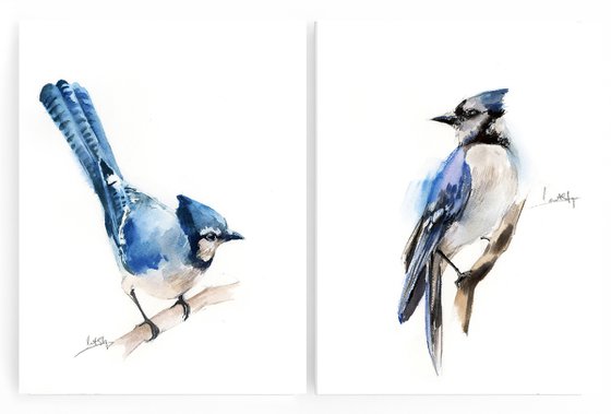 Blue jay birds watercolor painting 2 set