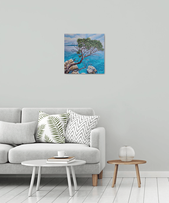Cypress By The Sea