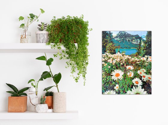 Daisies field in mountains