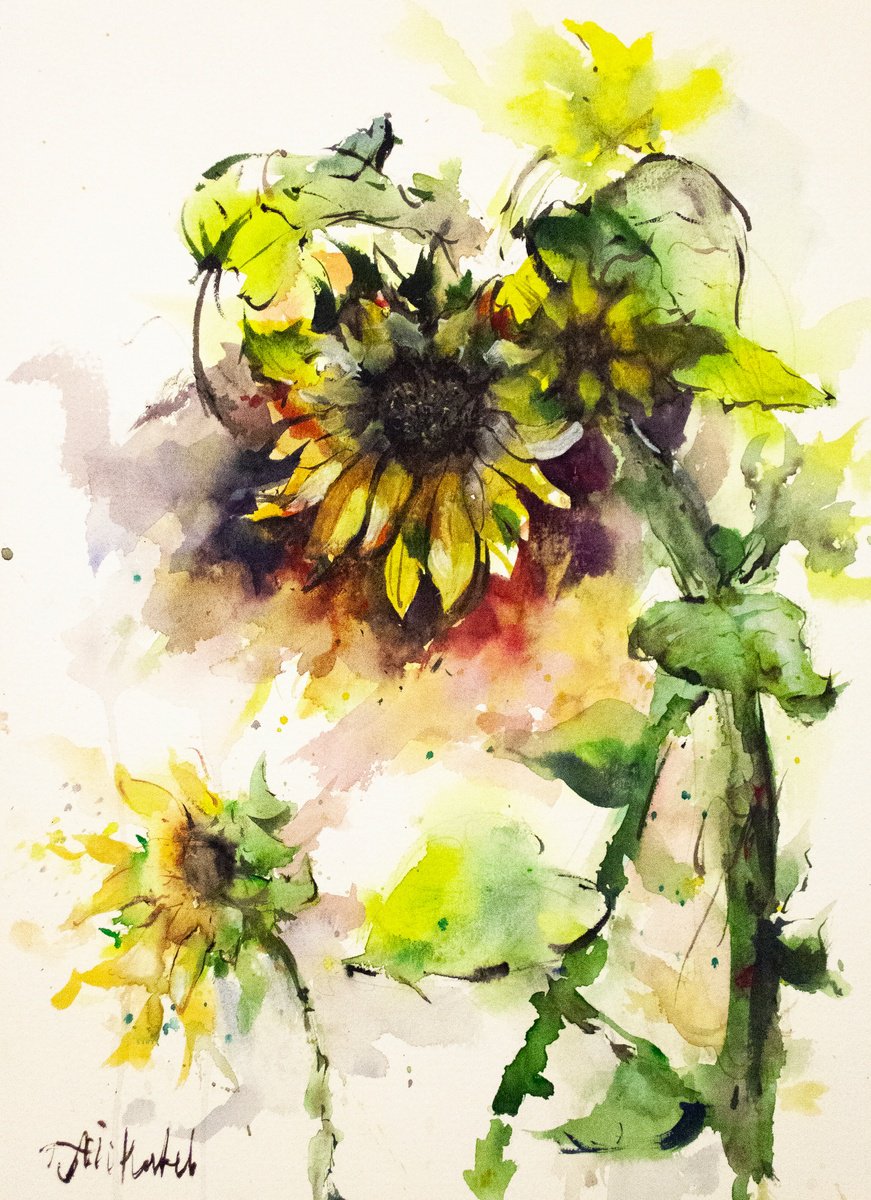 Impressionistic Botanical Watercolour By Tomasz Mikutel, 10 X 14", Sunflowers, Original Artwork