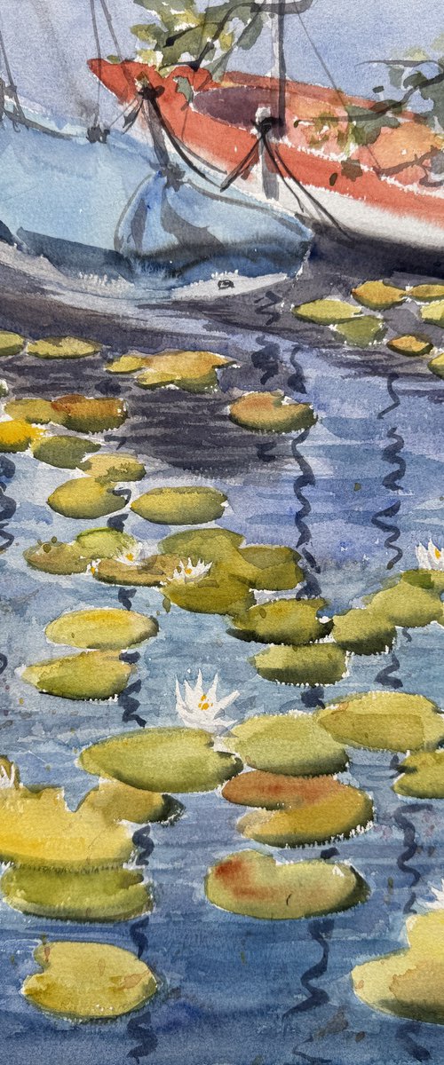 Water lilies and sailing boats by Shelly Du