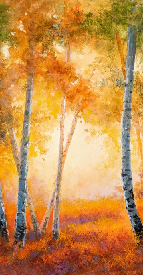 Autumn birch tree forest scene by Lucia Verdejo