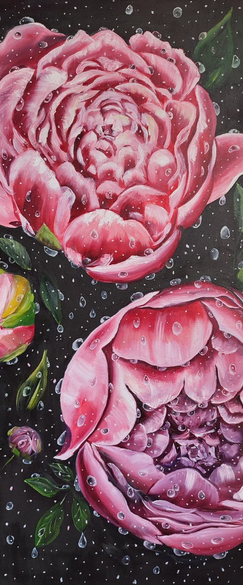 Peonies in drops by Nataliia Plakhotnyk