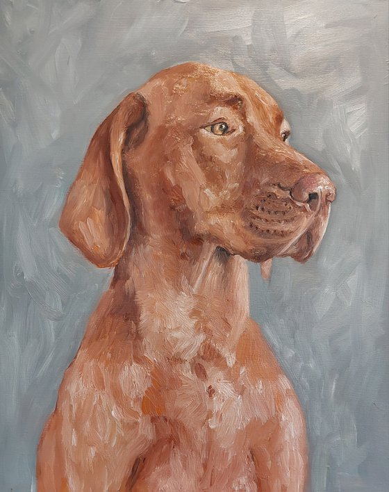 VIZSLA DOG