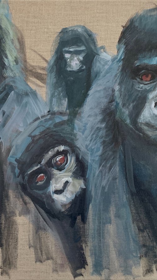 Three Gorillas And A Curiou... by Ryan  Louder