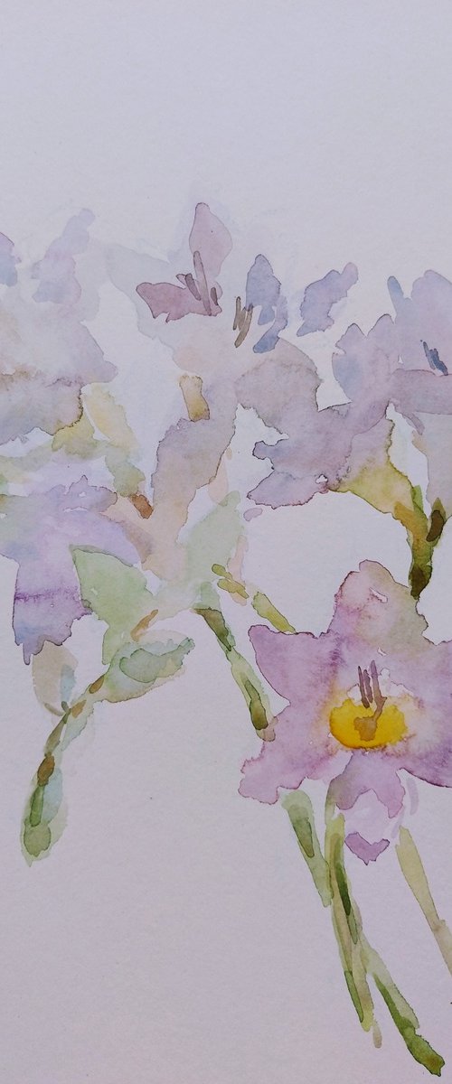 Freesias # 3 original watercolour painting. by Elena Klyan