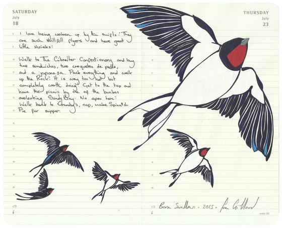 Birds of Europe: Barn Swallow