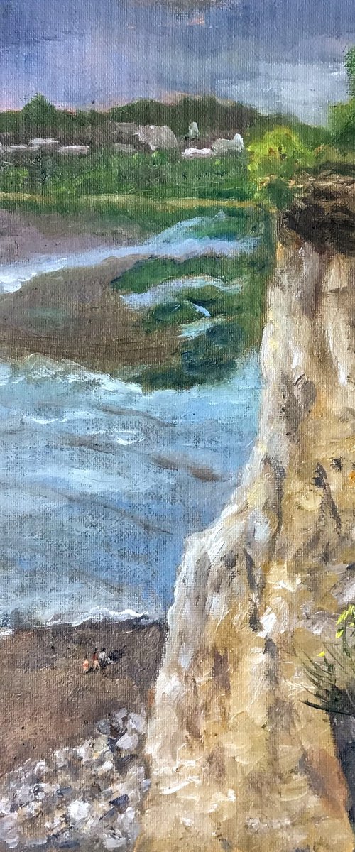 Down here for Lunch - An original oil painting from the cliff top. by Julian Lovegrove Art