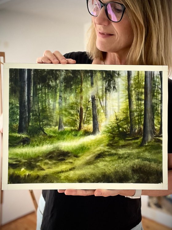Forest Clearing