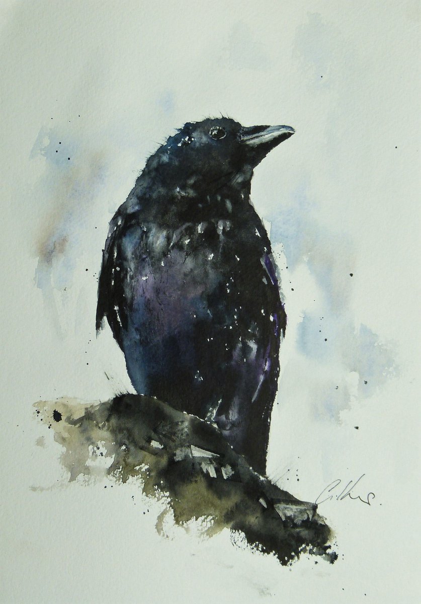 Raven. by Graham Kemp