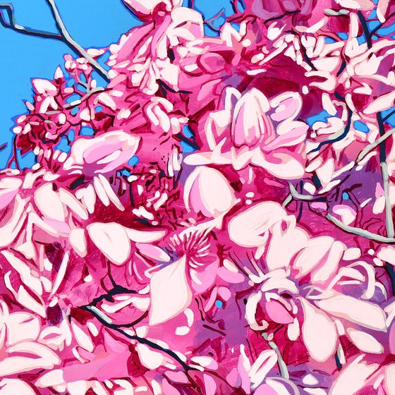 Pink Magnolia Blossom
