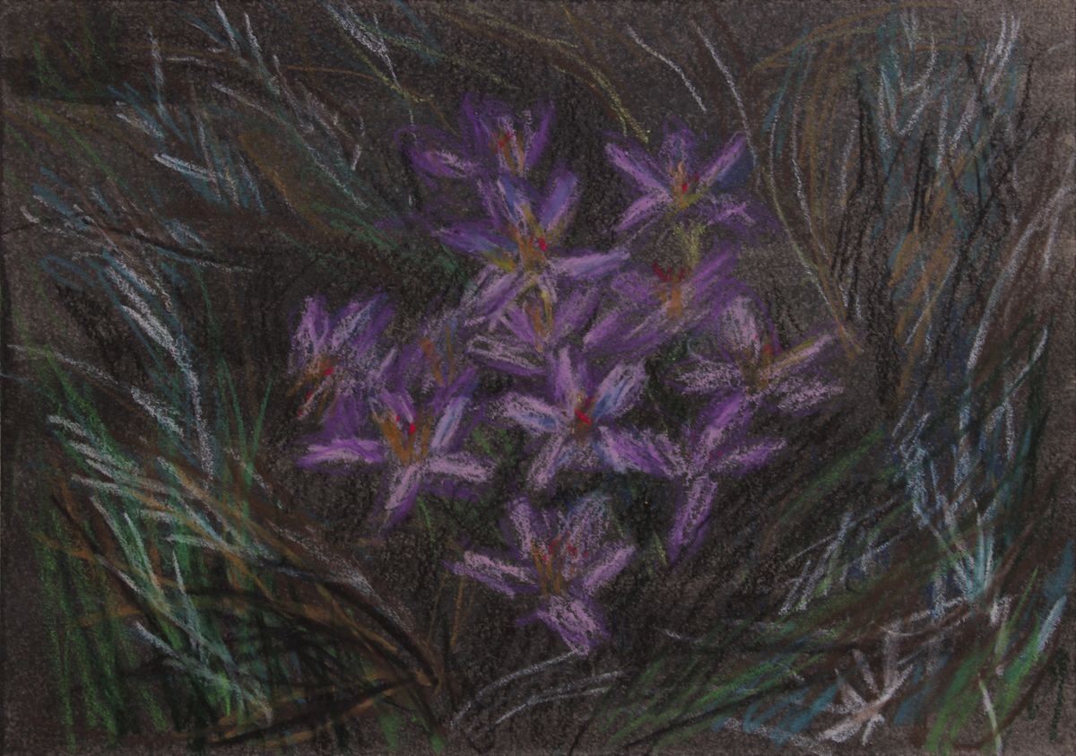 First Flowers I, 2018, oil pastel on paper, 21 x 29.7 cm by Alenka Koderman