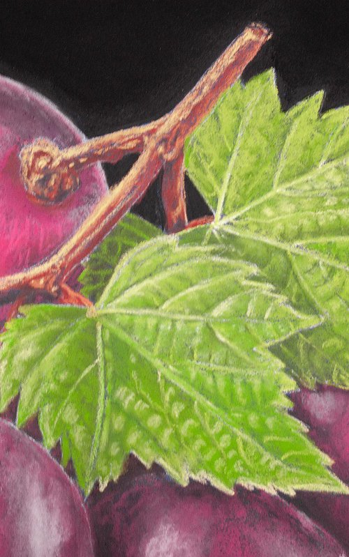 Jewels of the Vine by Dietrich Moravec