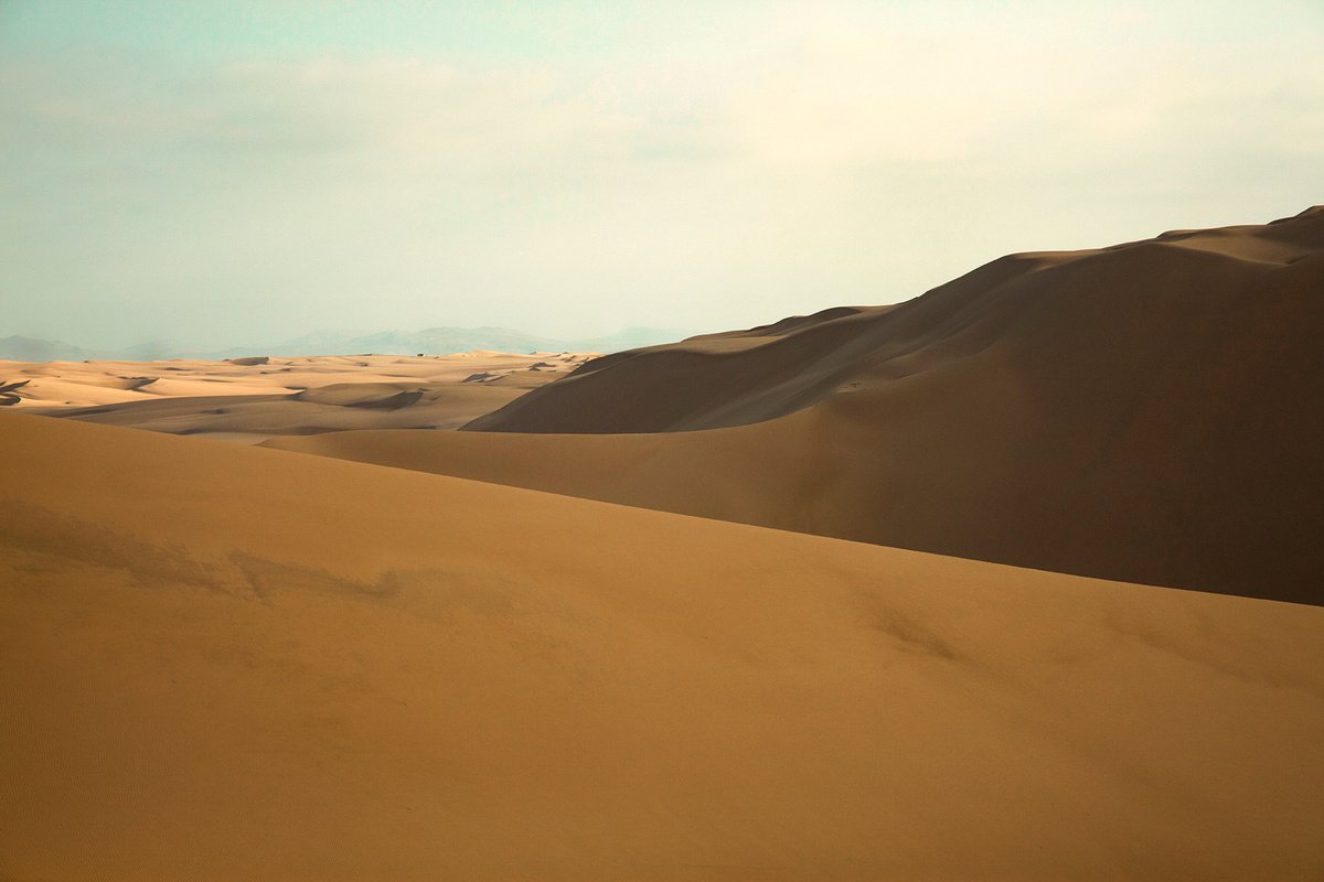 Photorealistic Photograph , Paracus 20 By Michael Filonow, 32 X 22, Artwork For Sale On Artfinder