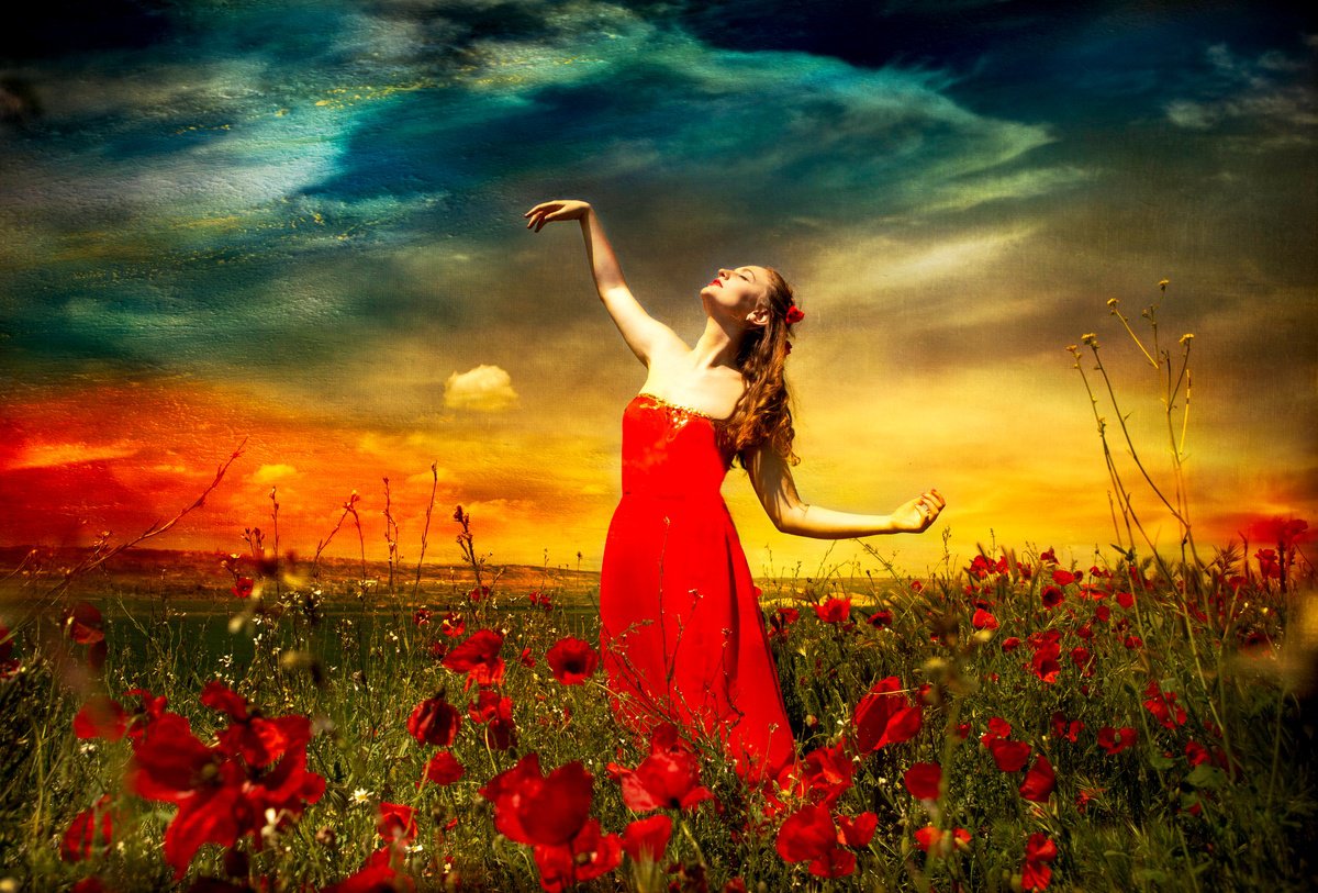 Impressionistic Photograph , Summer On The Poppy Field By Viet Ha Tran, 59 X 39, Artwork For Sale On Artfinder
