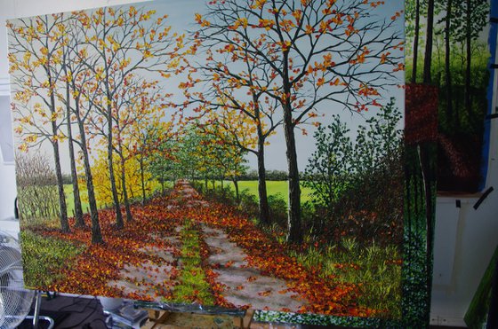 Autumnal Walk