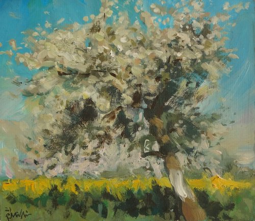 Roadside Tree by Gerry Miller