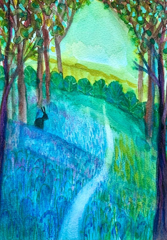 Bluebell Woodland