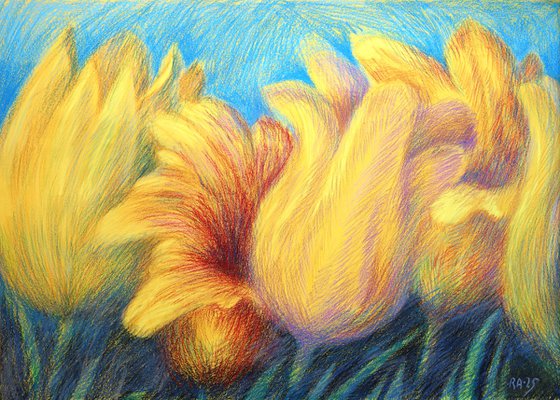 Tulips Yellow 4