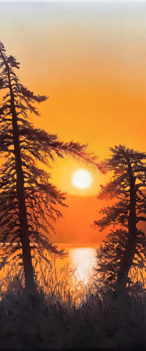 Where the Sun Meets the Stillness by Alla Kallass