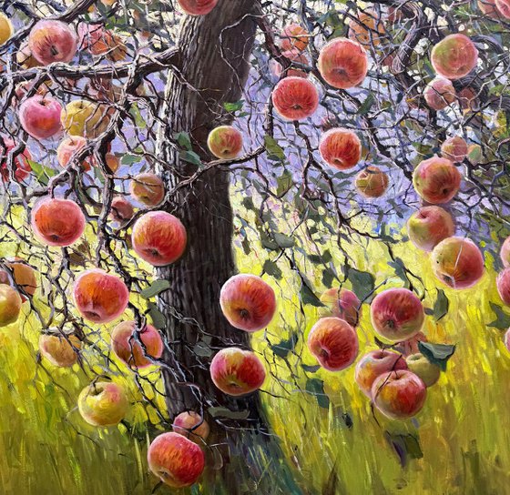 Apple Tree in Summer