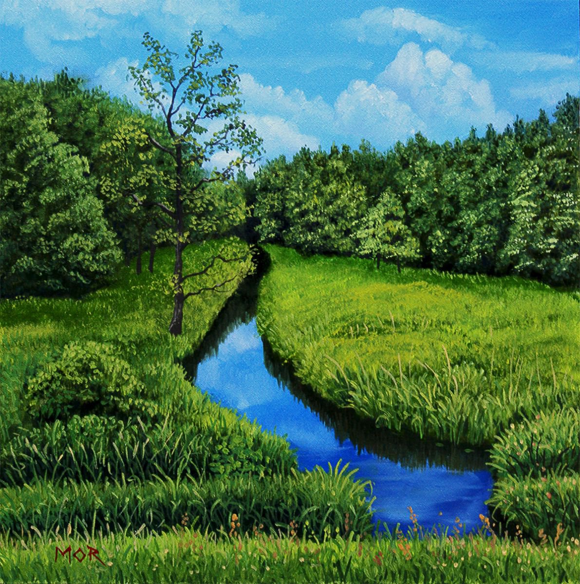 Meadow Creek by Dietrich Moravec