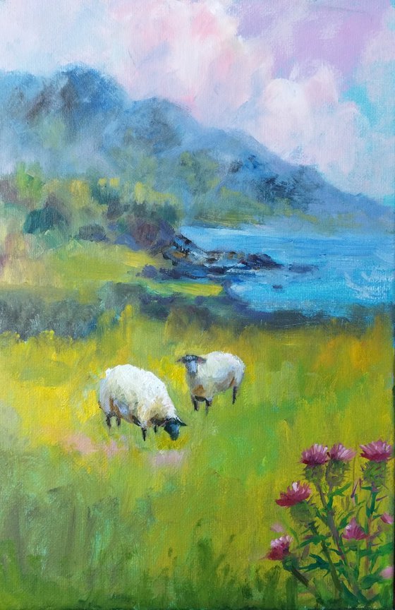 Scottish landscape, sheep on pasture