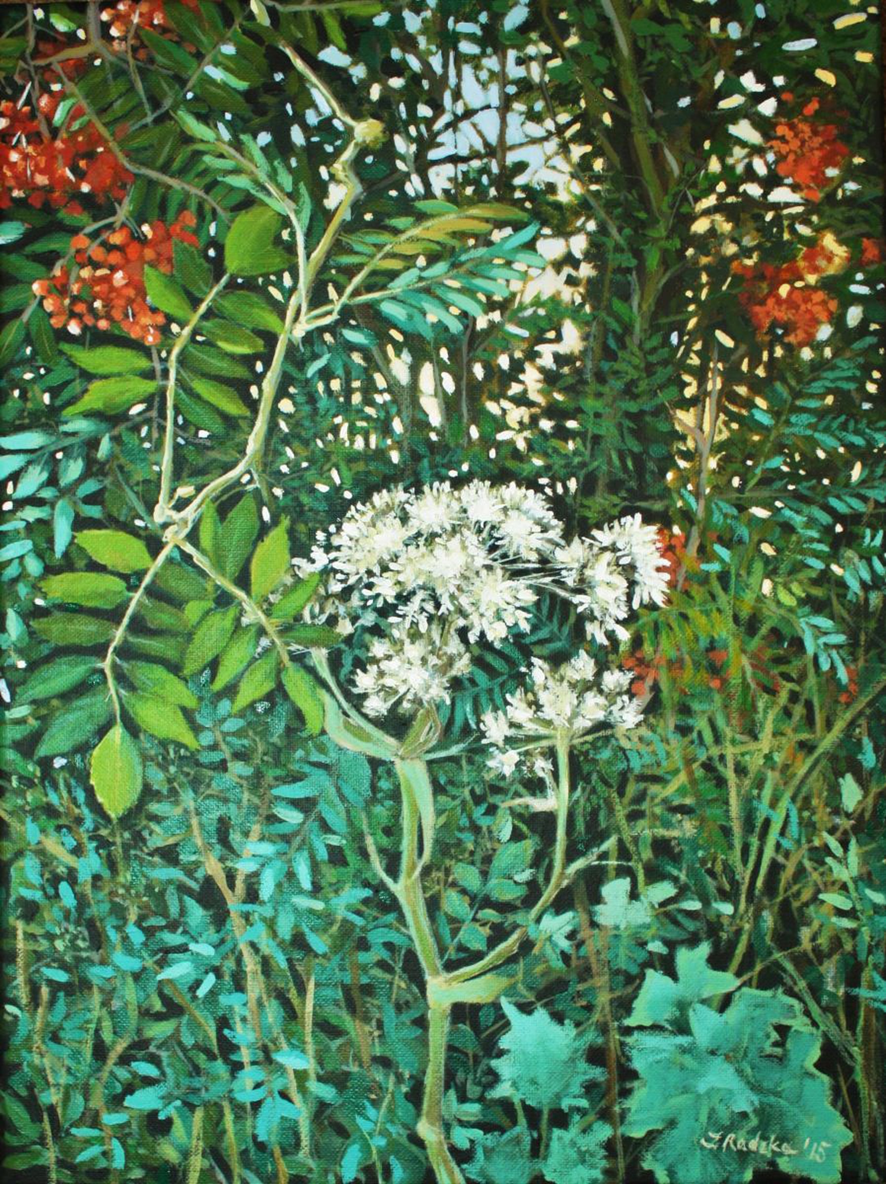 Hogweed And Rowan Tree By Joanna Plenzler Artfinder