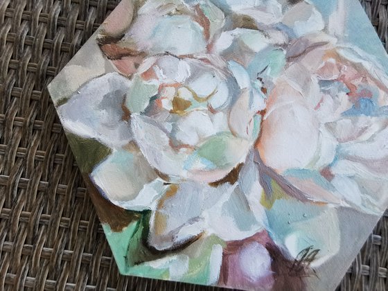 White peony on shaped canvas