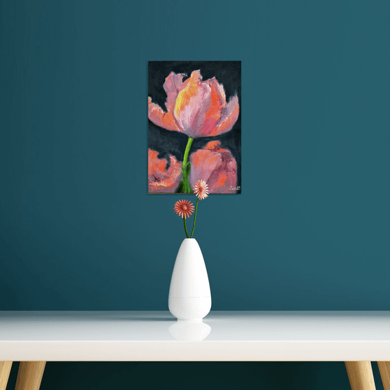 Coral tulips 1