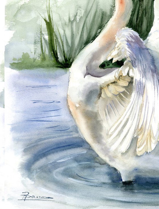 Swan #2  -  Original Watercolor Painting