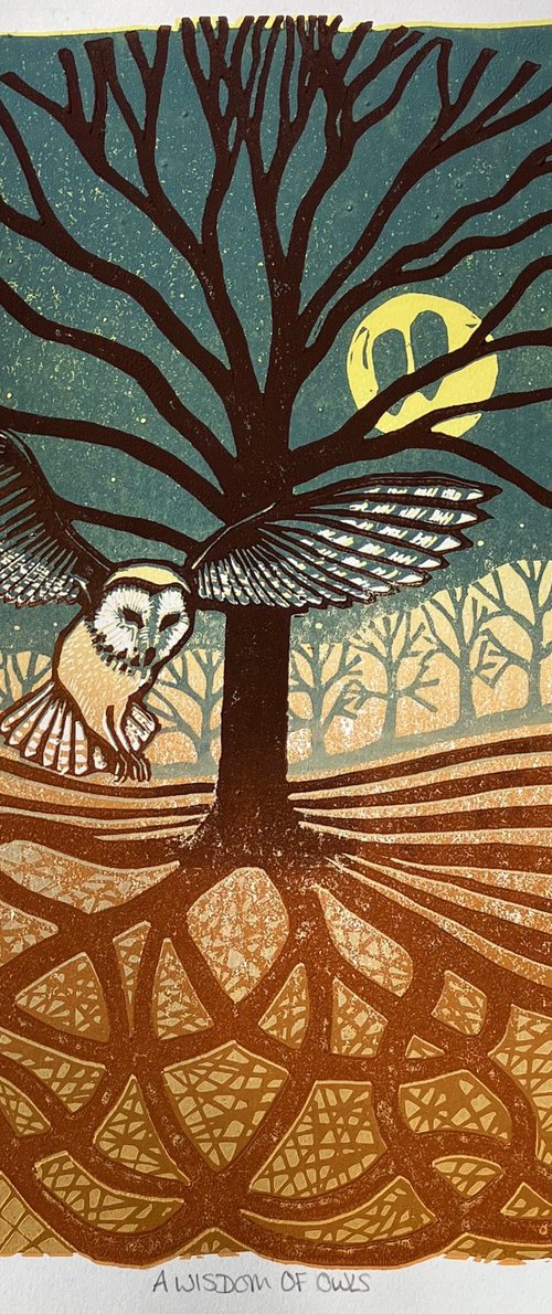 A Wisdom of Owls by Helen Maxfield