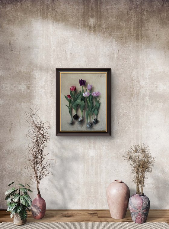 Tulip bulbs 02