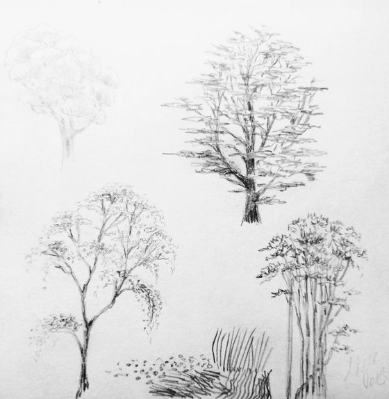 Plein air. Sketch # 4. Original pencil drawing.