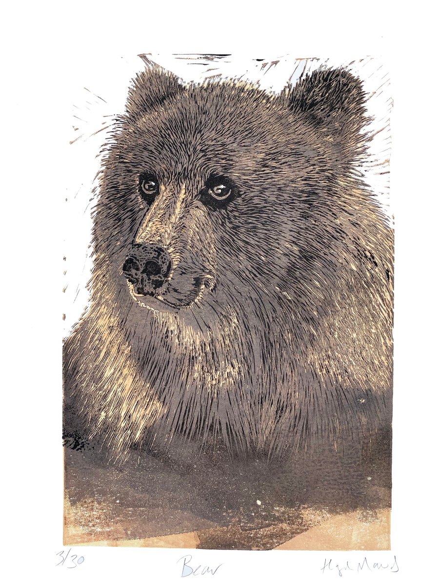Bear 3 by Hazel McNab