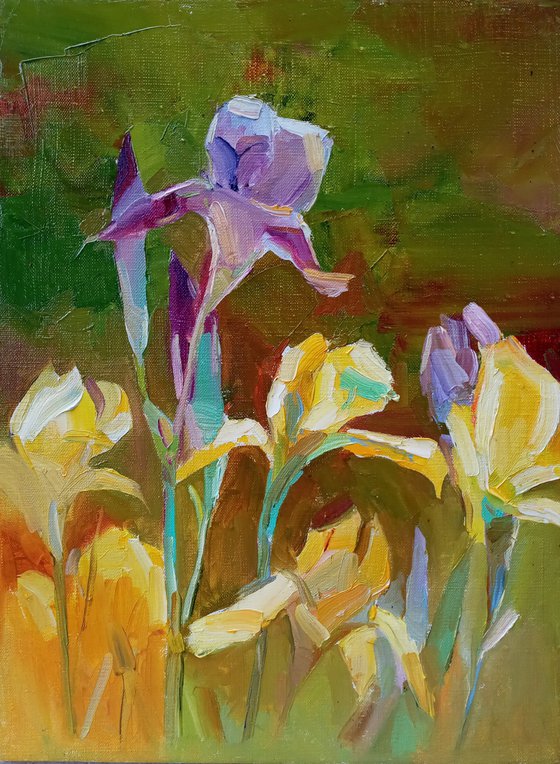 " irises flowers "