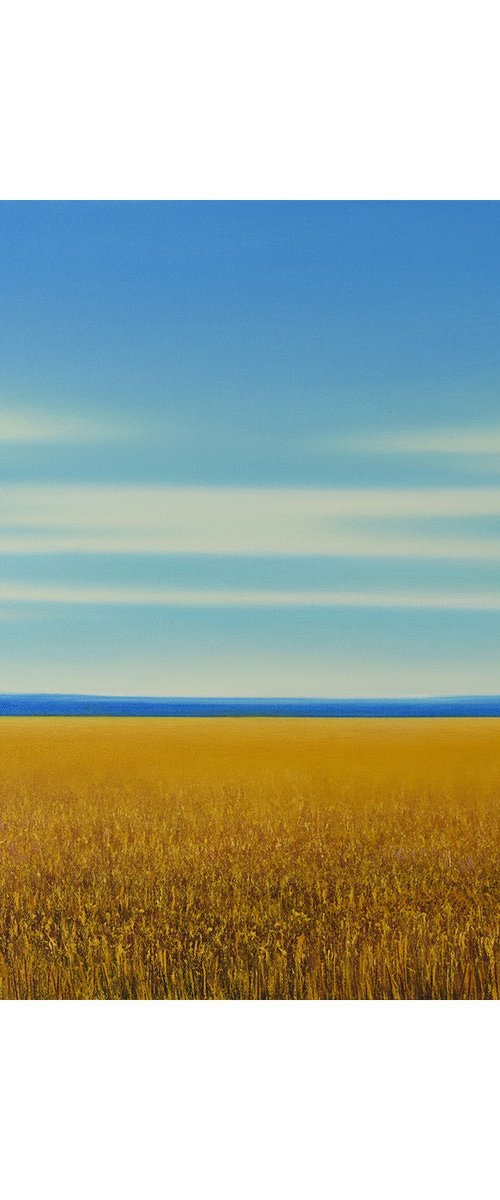 Golden Glow - Blue Sky Gold Field Landscape by Suzanne Vaughan
