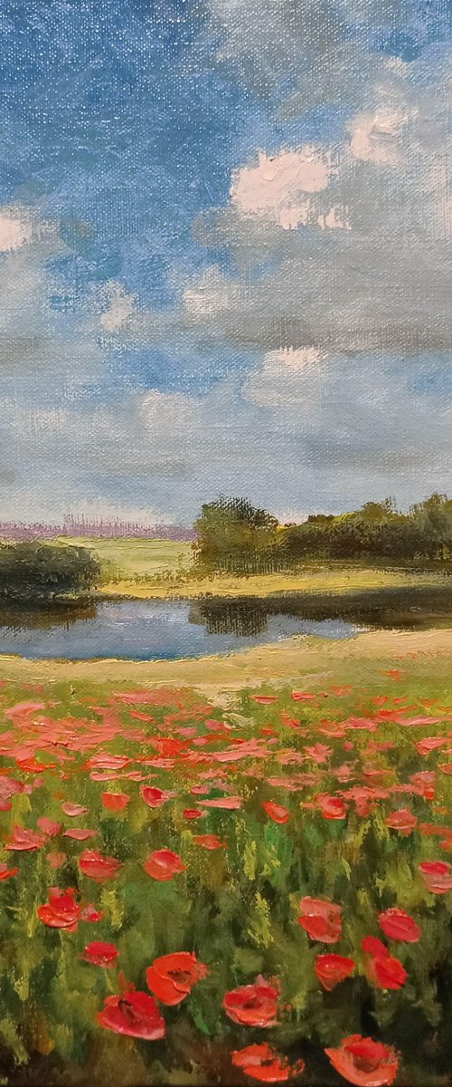 Summer impression. Poppies by Oleh Rak